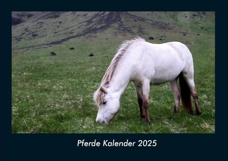 Tobias Becker: Pferde Kalender 2025 Fotokalender DIN A4, Kalender