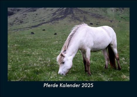 Tobias Becker: Pferde Kalender 2025 Fotokalender DIN A5, Kalender