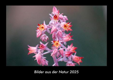 Tobias Becker: Bilder aus der Natur 2025 Fotokalender DIN A3, Kalender