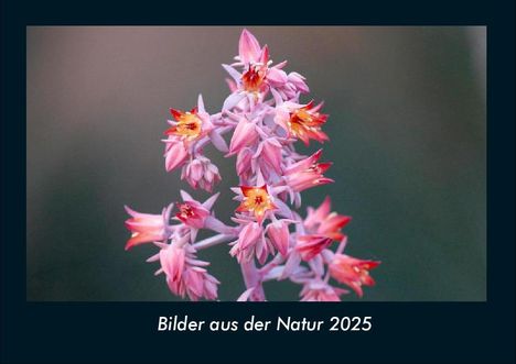 Tobias Becker: Bilder aus der Natur 2025 Fotokalender DIN A4, Kalender