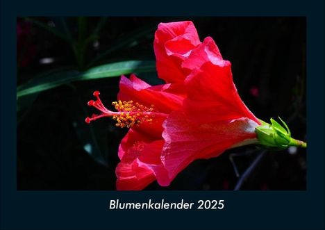 Tobias Becker: Blumenkalender 2025 Fotokalender DIN A4, Kalender