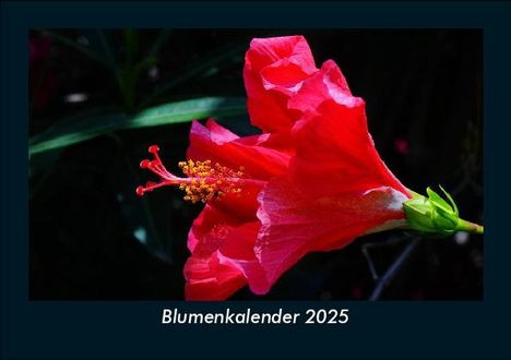 Tobias Becker: Blumenkalender 2025 Fotokalender DIN A5, Kalender