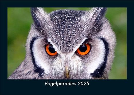 Tobias Becker: Vogelparadies 2025 Fotokalender DIN A5, Kalender