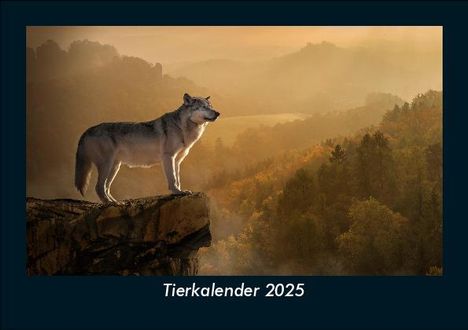 Tobias Becker: Tierkalender 2025 Fotokalender DIN A5, Kalender