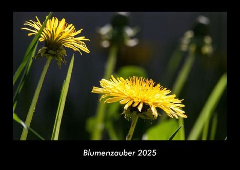 Tobias Becker: Blumenzauber 2025 Fotokalender DIN A3, Kalender