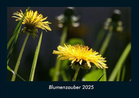 Tobias Becker: Blumenzauber 2025 Fotokalender DIN A4, Kalender