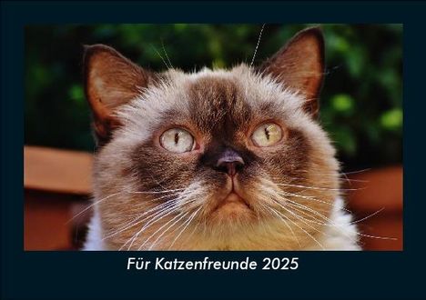 Tobias Becker: Für Katzenfreunde 2025 Fotokalender DIN A5, Kalender