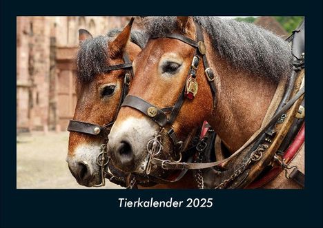 Tobias Becker: Tierkalender 2025 Fotokalender DIN A4, Kalender