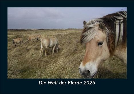 Tobias Becker: Die Welt der Pferde 2025 Fotokalender DIN A5, Kalender