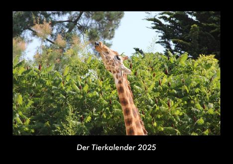 Tobias Becker: Der Tierkalender 2025 Fotokalender DIN A3, Kalender