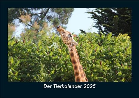 Tobias Becker: Der Tierkalender 2025 Fotokalender DIN A5, Kalender