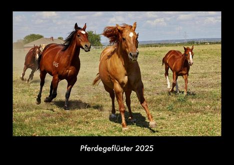 Tobias Becker: Pferdegeflüster 2025 Fotokalender DIN A3, Kalender