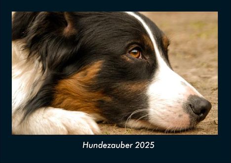 Tobias Becker: Hundezauber 2025 Fotokalender DIN A4, Kalender