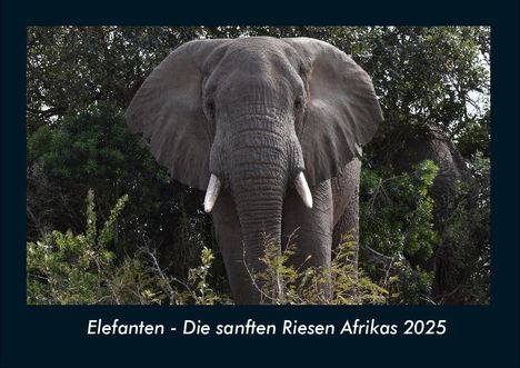 Tobias Becker: Elefanten - Die sanften Riesen Afrikas 2025 Fotokalender DIN A4, Kalender