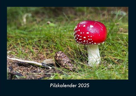 Tobias Becker: Pilzkalender 2025 Fotokalender DIN A4, Kalender