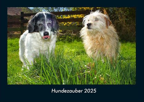 Tobias Becker: Hundezauber 2025 Fotokalender DIN A4, Kalender