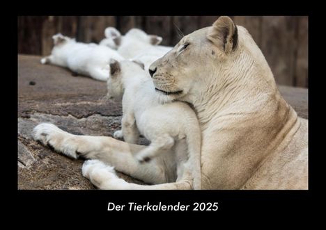 Tobias Becker: Der Tierkalender 2025 Fotokalender DIN A3, Kalender