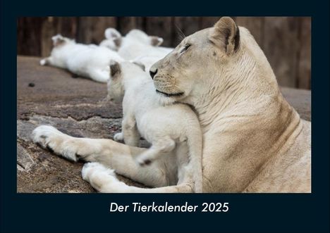 Tobias Becker: Der Tierkalender 2025 Fotokalender DIN A4, Kalender