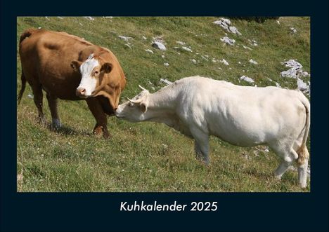 Tobias Becker: Kuhkalender 2025 Fotokalender DIN A4, Kalender