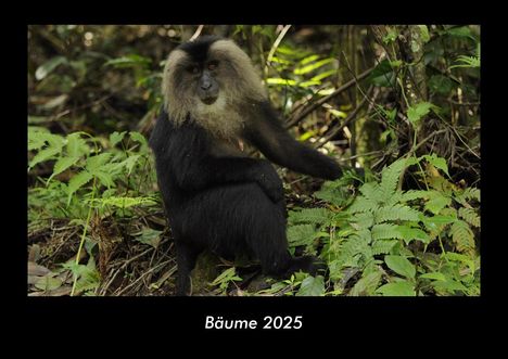 Tobias Becker: Bäume 2025 Fotokalender DIN A3, Kalender