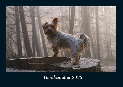 Tobias Becker: Hundezauber 2025 Fotokalender DIN A4, Kalender