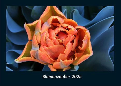 Tobias Becker: Blumenzauber 2025 Fotokalender DIN A4, Kalender