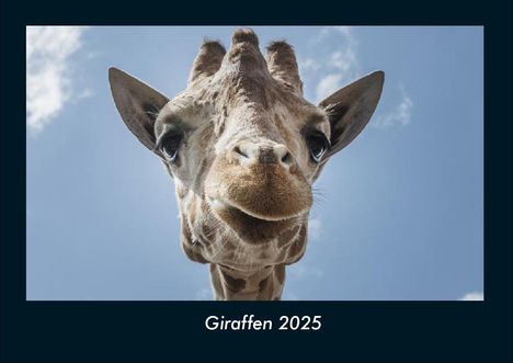 Tobias Becker: Giraffen 2025 Fotokalender DIN A4, Kalender