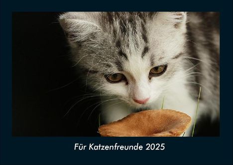 Tobias Becker: Für Katzenfreunde 2025 Fotokalender DIN A4, Kalender