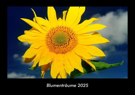 Tobias Becker: Blumenträume 2025 Fotokalender DIN A3, Kalender