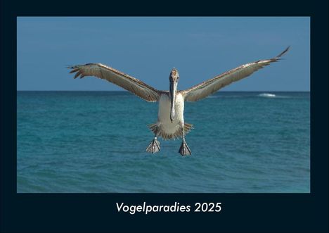 Tobias Becker: Vogelparadies 2025 Fotokalender DIN A4, Kalender