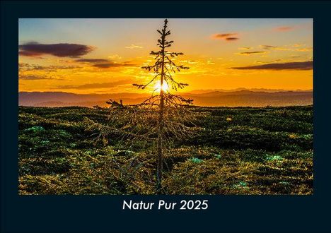 Tobias Becker: Natur Pur 2025 Fotokalender DIN A5, Kalender