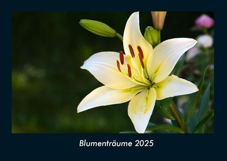 Tobias Becker: Blumenträume 2025 Fotokalender DIN A4, Kalender