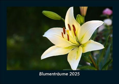 Tobias Becker: Blumenträume 2025 Fotokalender DIN A5, Kalender