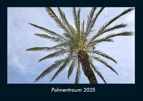 Tobias Becker: Palmentraum 2025 Fotokalender DIN A4, Kalender