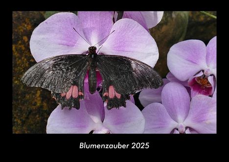 Tobias Becker: Blumenzauber 2025 Fotokalender DIN A3, Kalender