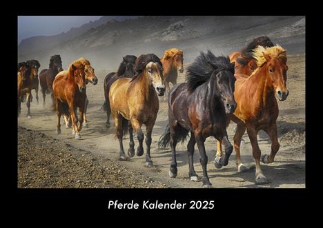 Tobias Becker: Pferde Kalender 2025 Fotokalender DIN A3, Kalender