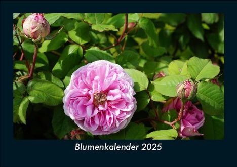 Tobias Becker: Blumenkalender 2025 Fotokalender DIN A5, Kalender