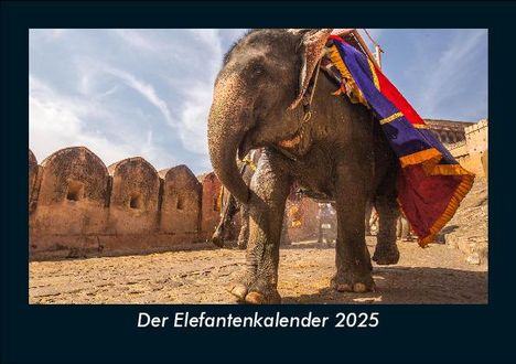 Tobias Becker: Der Elefantenkalender 2025 Fotokalender DIN A5, Kalender