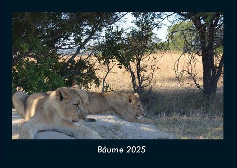 Tobias Becker: Bäume 2025 Fotokalender DIN A4, Kalender