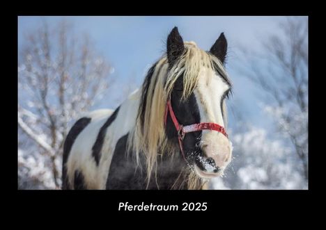 Tobias Becker: Pferdetraum 2025 Fotokalender DIN A3, Kalender