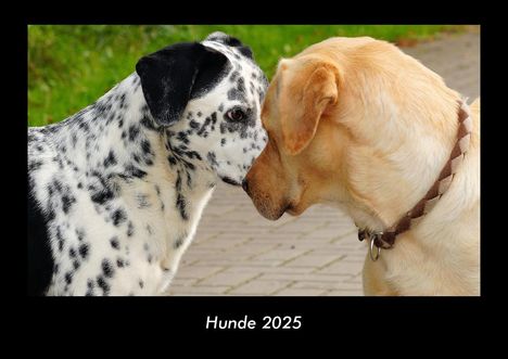 Tobias Becker: Hunde 2025 Fotokalender DIN A3, Kalender