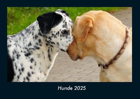 Tobias Becker: Hunde 2025 Fotokalender DIN A4, Kalender