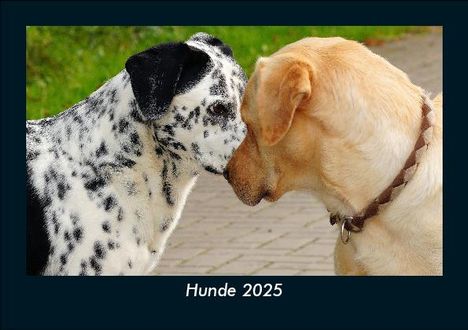 Tobias Becker: Hunde 2025 Fotokalender DIN A5, Kalender