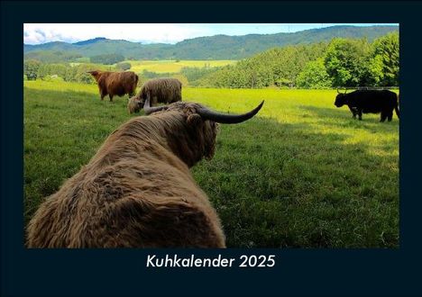 Tobias Becker: Kuhkalender 2025 Fotokalender DIN A5, Kalender