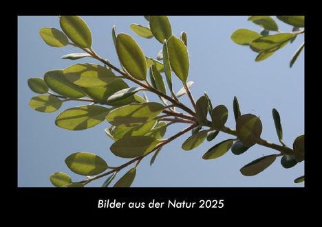 Tobias Becker: Bilder aus der Natur 2025 Fotokalender DIN A3, Kalender