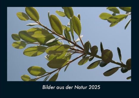 Tobias Becker: Bilder aus der Natur 2025 Fotokalender DIN A4, Kalender