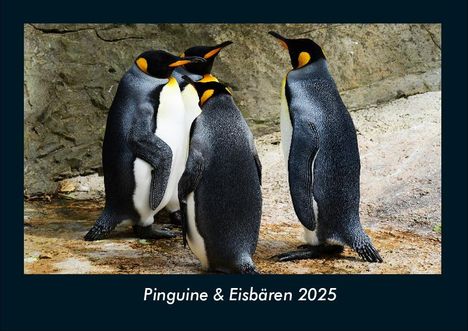 Tobias Becker: Pinguine &amp; Eisbären 2025 Fotokalender DIN A4, Kalender