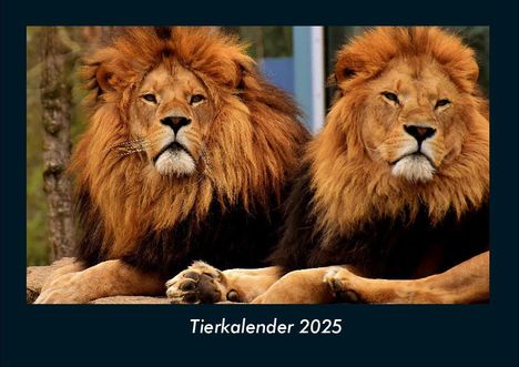 Tobias Becker: Tierkalender 2025 Fotokalender DIN A4, Kalender