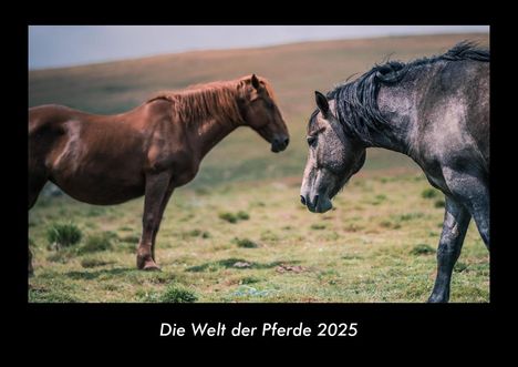 Tobias Becker: Die Welt der Pferde 2025 Fotokalender DIN A3, Kalender