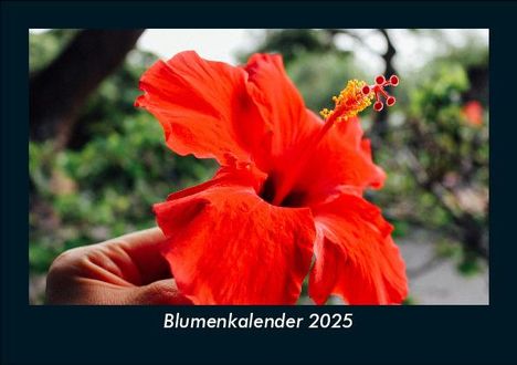 Tobias Becker: Blumenkalender 2025 Fotokalender DIN A5, Kalender